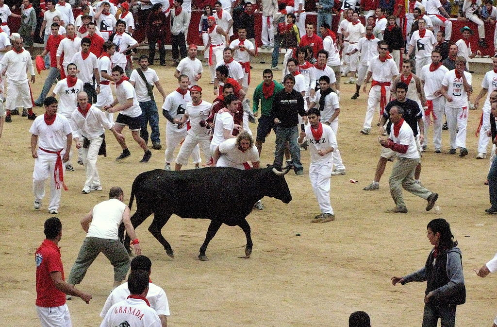 San Fermin Pamplona Bull Run Festival