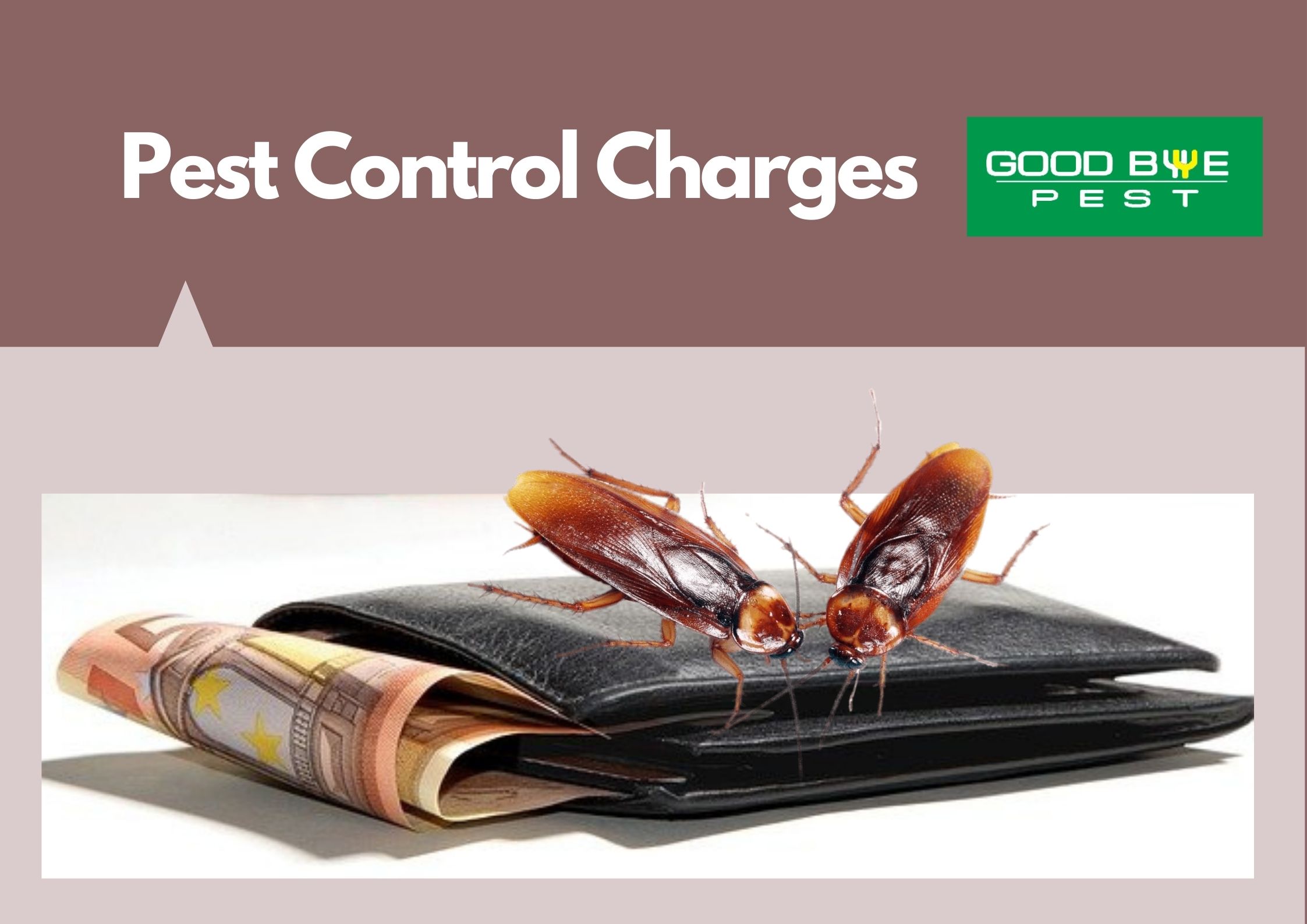 Pest Control Charges for cockroaches