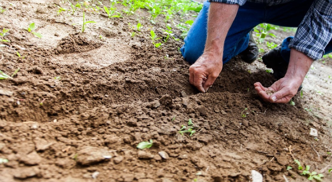 Soil Conservation Essay